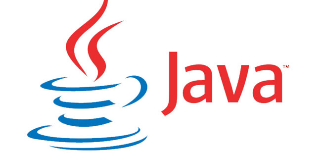 Why Java