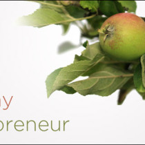 the-healthy-entrepreneur